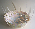 paper bowls